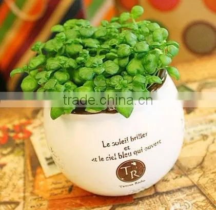 2016 Porcelain Flower Pot Fashion Crafts