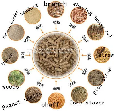 Sell Like Hot Cakes Feed Pellet Machine ZLHM250 photo-2
