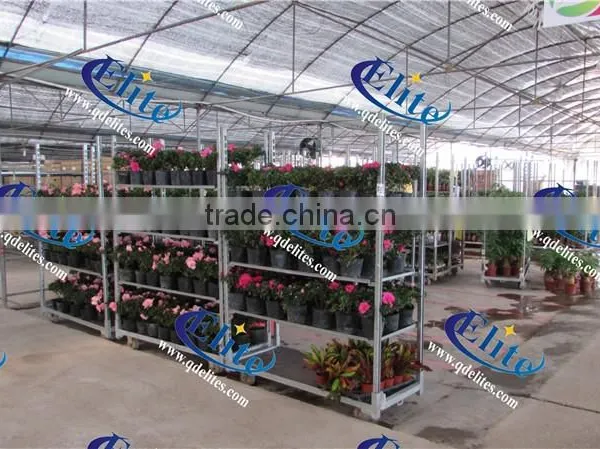 244 Shelf for Roller Container Shelf for Dutch Trolley Shelf for Nursery Flower Cart photo-6