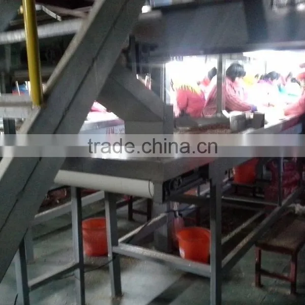 Peanut Color Sorter/processing Machine photo-3