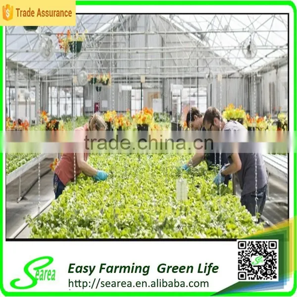 Searea Greenhouse Plastic Seed Tray for Greenhouse Hydroponic Lettuce photo-3