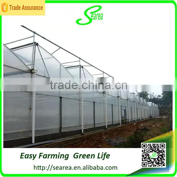 2015 Agricultural Multi Span Green Houses photo-4