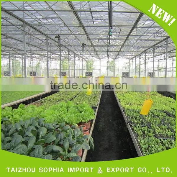 Made in China Superior Quality Anti-UV Plastic Film photo-3