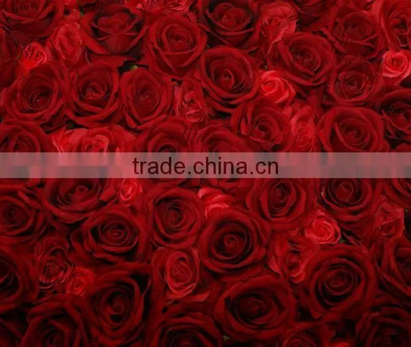 China Supplier Wedding Decor Wall New Design Wedding Decor Flower Wall photo-3