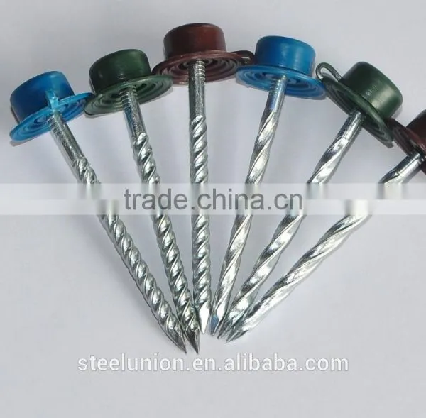 Twisted Nails With Plastic Head photo-5