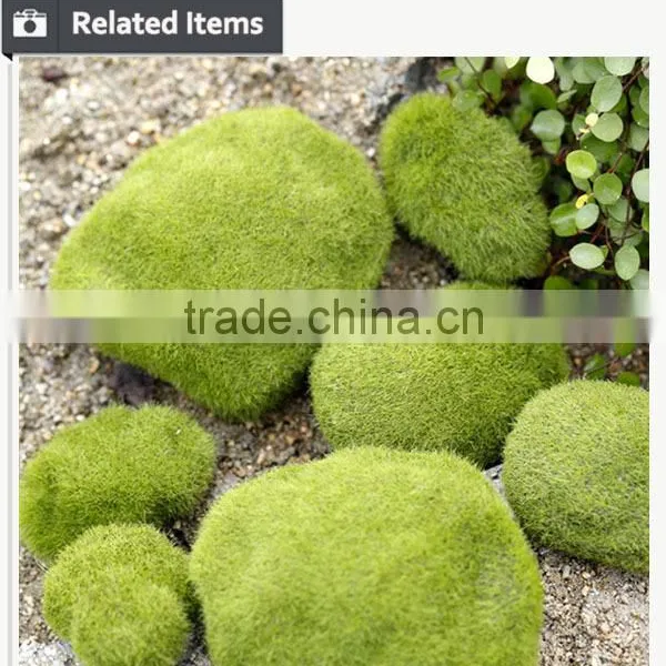 Gardening Christmas Gift for Wall Rock Decoration Moss Stone photo-5