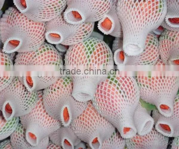 Soft Protection PE Plastic Sleeve Net for Flower Bud photo-4