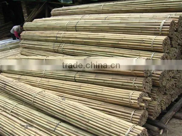 Bamboo Poles