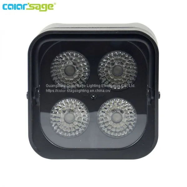 COLORSAGE photo-2