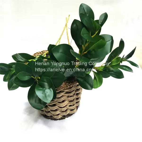 Wholesale Real Touch Flower Arrangement Olive Leaves Artificial Leaves photo-2