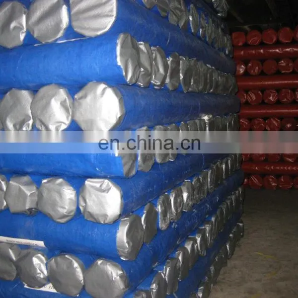pe Tarpaulin Blue/silver Awning Tarpaulin in Roll photo-6