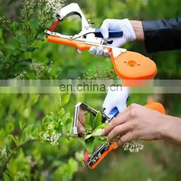 Reliable Small Kiwi Tapetool With Factory Price photo-3