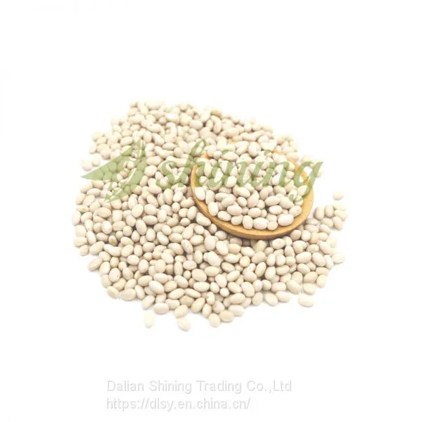 Navy Bean Small White Kidney Beans Haricot Beans photo-3