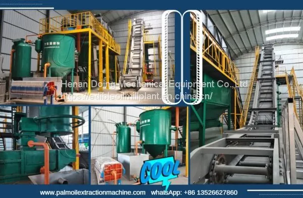 Small Scale Palm Oil Processing Machine and Palm Oil Processing Process photo-2