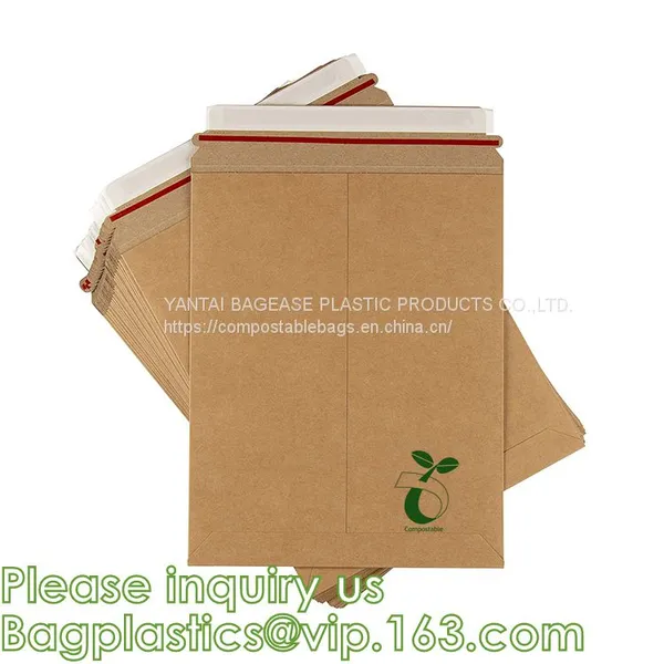 Jewelry, Beauty Bubble Zipper Bag Customized Envelope, Recycled PVC Bubble Pouch, Bubble Wrap, Epe Foam photo-5