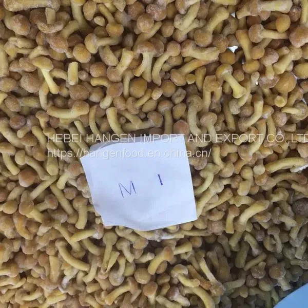 IQF Frozen Nameko Pilztaste Pilztaste photo-3