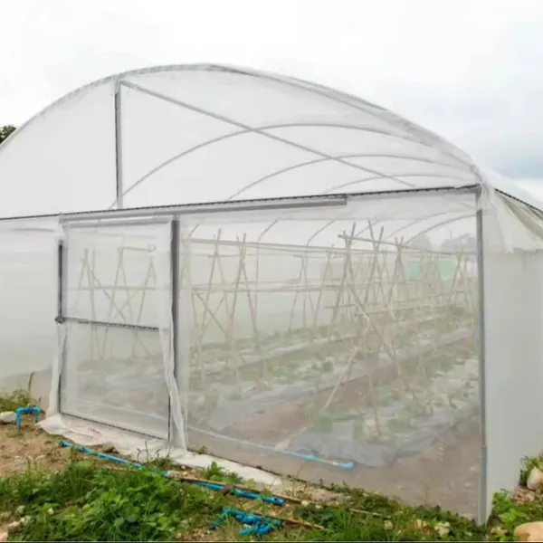 Hdpe Insect Nets for Agriculture Farm Fruit Fly