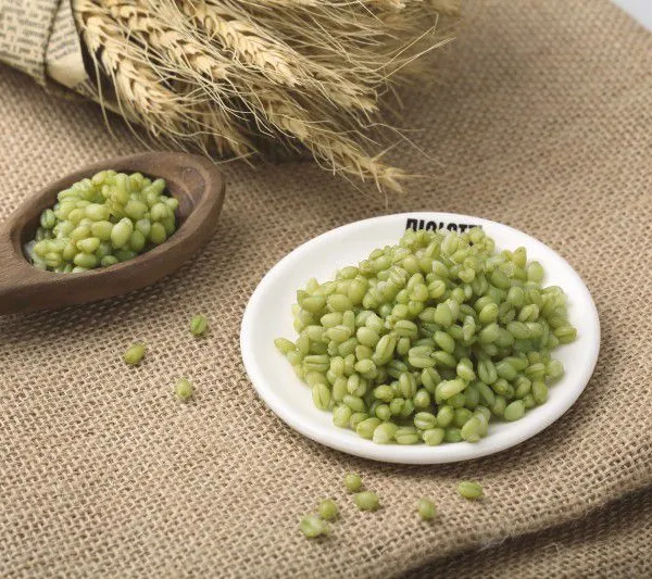 Premium Frozen Wheat Germ Kernel - No Additives Added | Nutritious for Porridge & Dessert photo-3