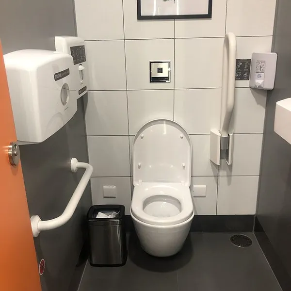 Japanese Bathroom Handrails, Accessible Handrails, Toilet Grab Bars, Elderly Safety Handrails photo-5