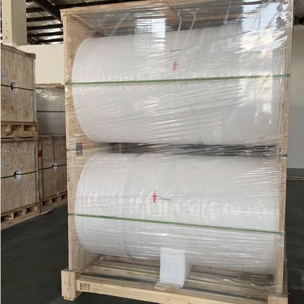 PET Release Film Transparent and Matte insulation film JB1256-77 Standard for industry use in roll