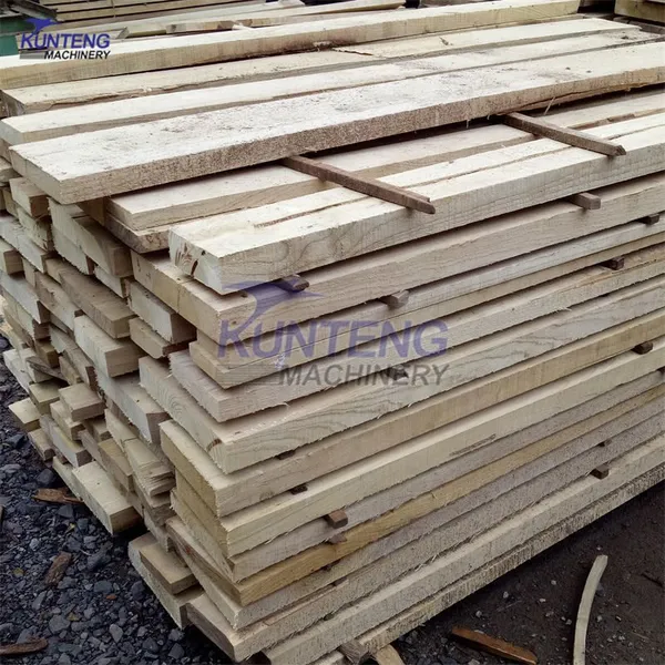 Birch Beech Wood Drying Machine Bamboo Pine Cypress Fir Wood Planks Drying Oven EPC photo-5