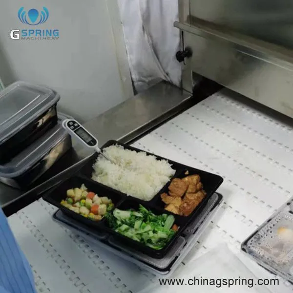 SUS304 Stainless Steel Microwave Drying Machine for Fast Food Industrial Drying and Sterilization Belt Drying Machine photo-4
