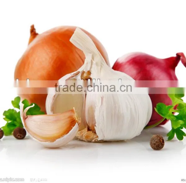 china normal white garlic garlic