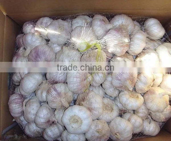 New Crop Normal White Garlic ---Garlic Factory /High Quality photo-6