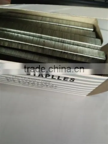 Hot Selling 4-22mm Galvanized Staples photo-3