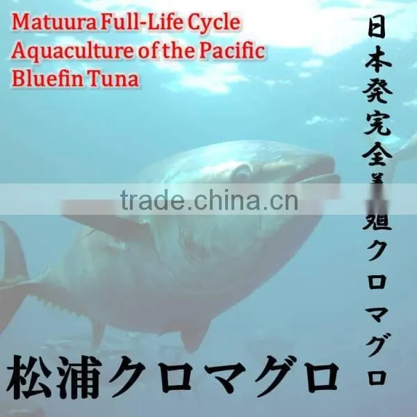 Matuura Bluefin Tuna is Quality Food Than Yellowfin Tuna.