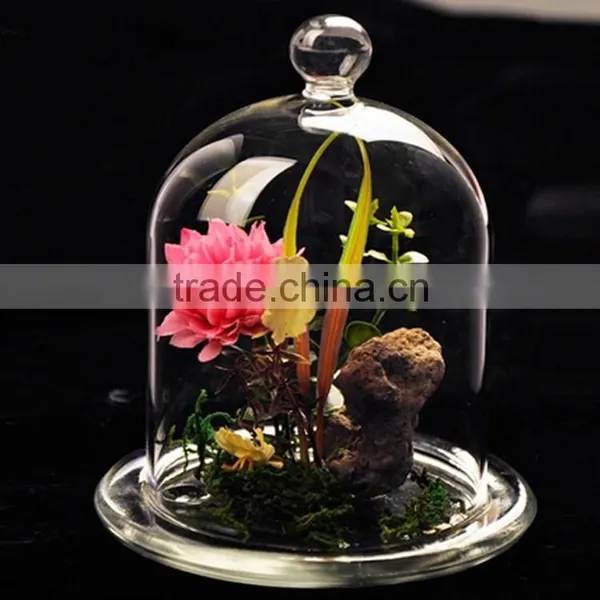 Mini Glass Dome With Glass Base,glass Cake Cover photo-5