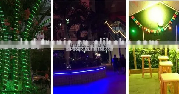 Dc24v 60pcs Smd 5050 14.4w / m Rgb Dmx512 Addressable Rgb Led Strip photo-4