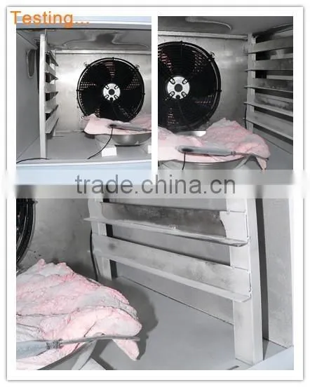 Mini Blast Freezer for Quick Freezing and Blast Freezing photo-4