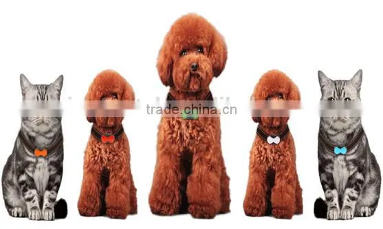 2015 Widely Use Personal Gsp Tracker/pet Gps Tracker/vehicle Gps Tracker photo-2