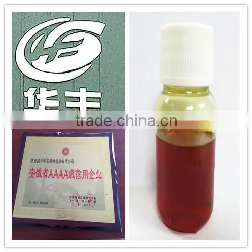 100% Natural Pure Ginger Oil in Bulk Professional Factory photo-4