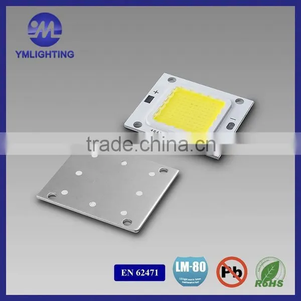 Light Cob Led Grow Lights 50W Chip