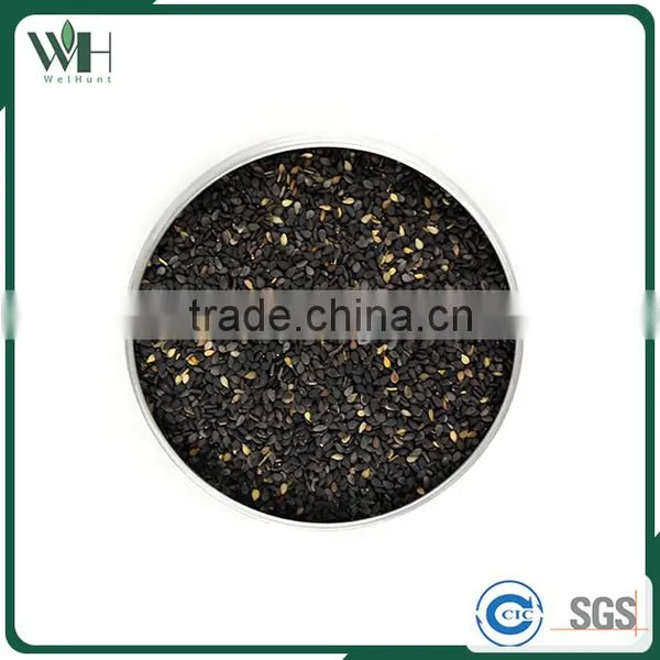 Paraguay Low Foreign Matter Sesame Varities photo-3