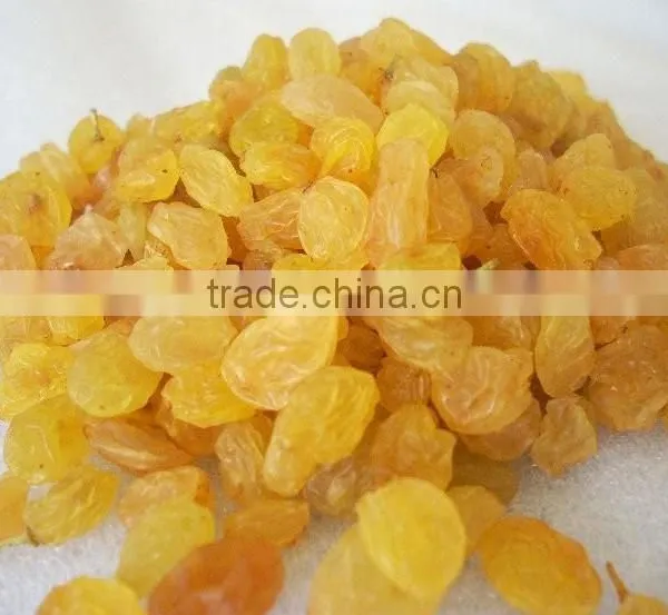 INDIAN EXPORTER YELLOW RAISIN photo-3