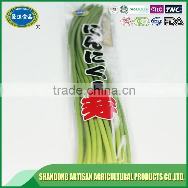 Fresh Garlic Sprouts photo-3