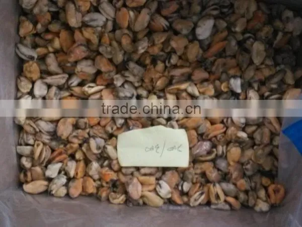 Frozen Mussel Boiled Meat Seafood Price From Seafood Company photo-2