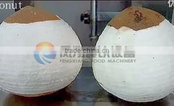 Peeler Type Fruit Process Equipment Automatic Coconut Melon Peeling Machine With CE photo-6