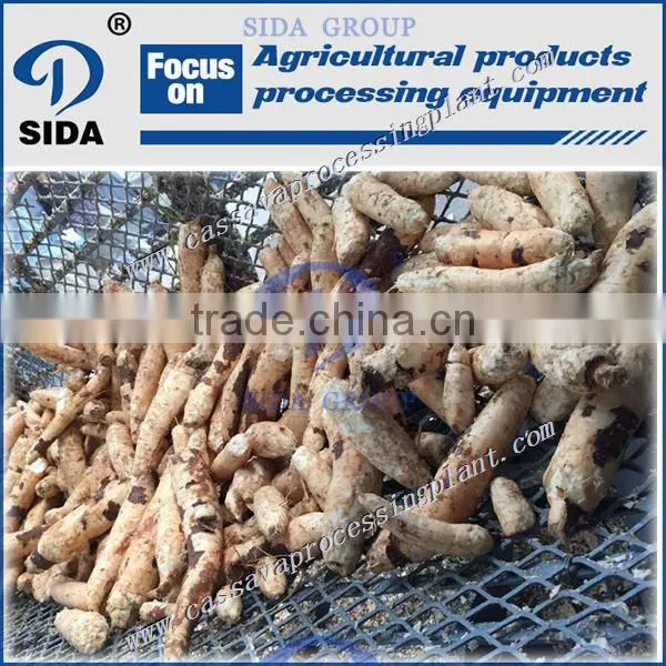 Cassava Chips Making Machine | Cassava Chips Machine photo-4