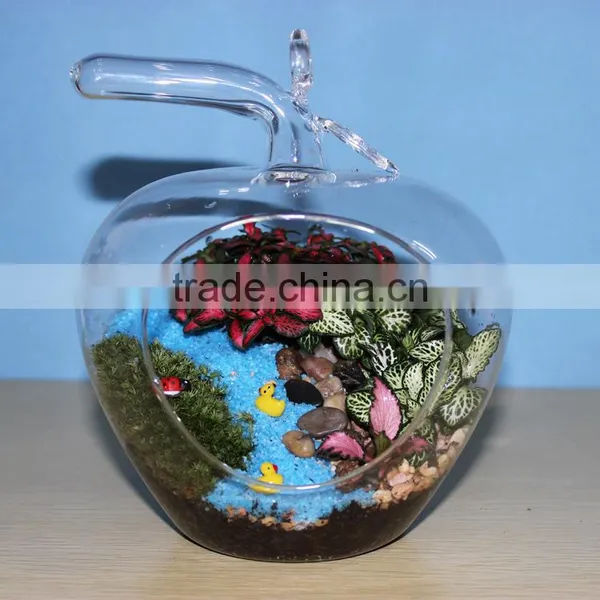 Clear Apple Shape Glass Vase Glass Landscape Bottle 3 Sizes photo-2