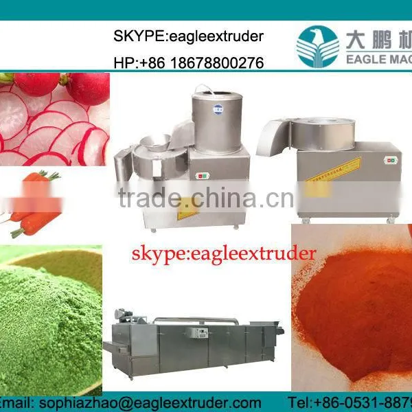 Tomato Pwder Poduction line/processing line