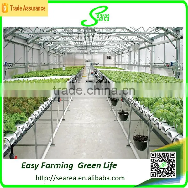 Hydroponic Pvc Plastic Channel for NTF Greenhouse Hydroponic System photo-3