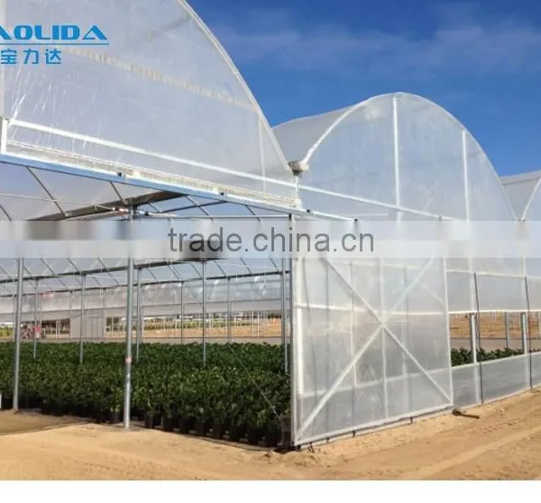Plastic Film Covered Greenhouse For Mushroom&Roses photo-4