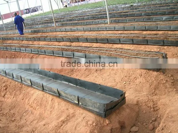 Growing Bench photo-2