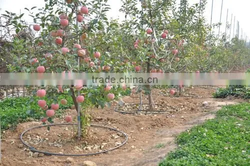 Hdpe Farm Irrigation System Drip Pipe photo-6