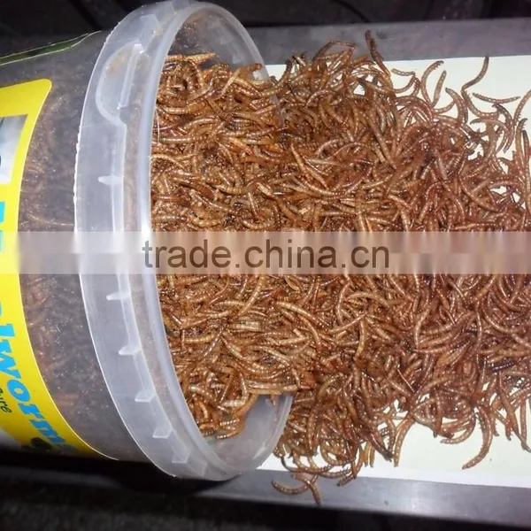 Aquarium Fish Food / Ornamental Fish Food,Dried Mealworms Fish Feed photo-3