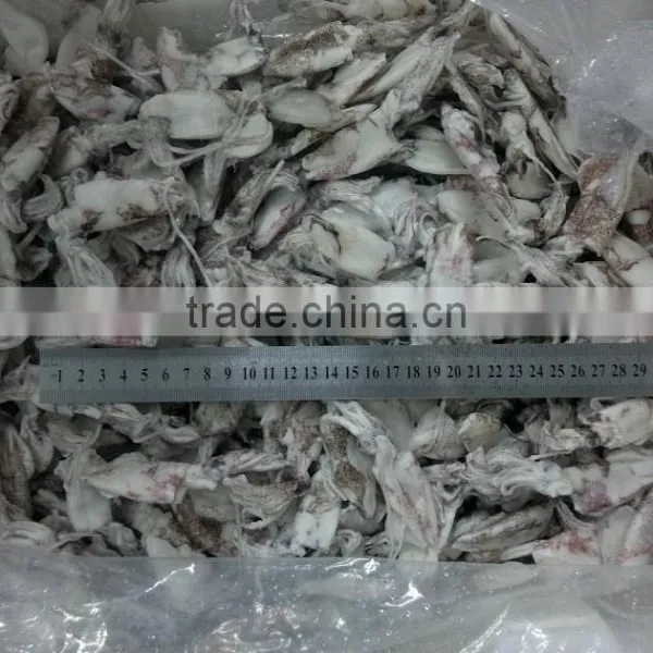 IQF/block Baby Squid Loligo Japonica photo-3